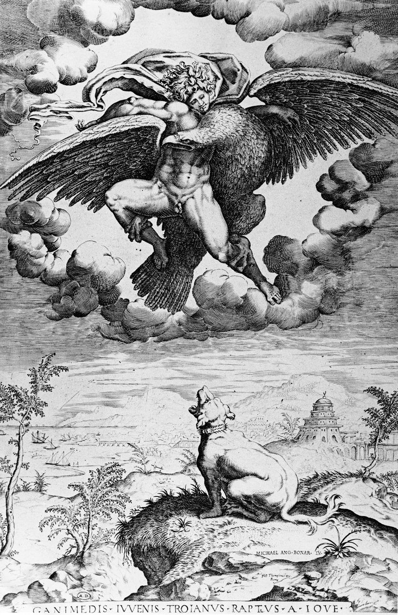 Il rapimento di Ganimede da Michelangelo Buonarroti