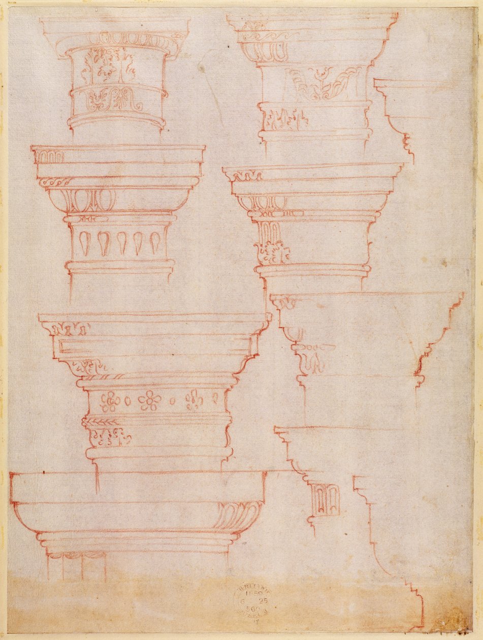 Studio di capitelli di colonne (matita colorata) da Michelangelo Buonarroti