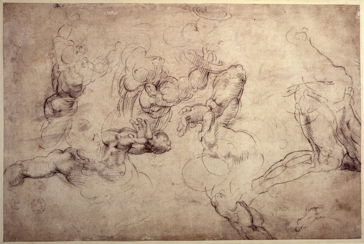 Studi di figura maschile da Michelangelo Buonarroti