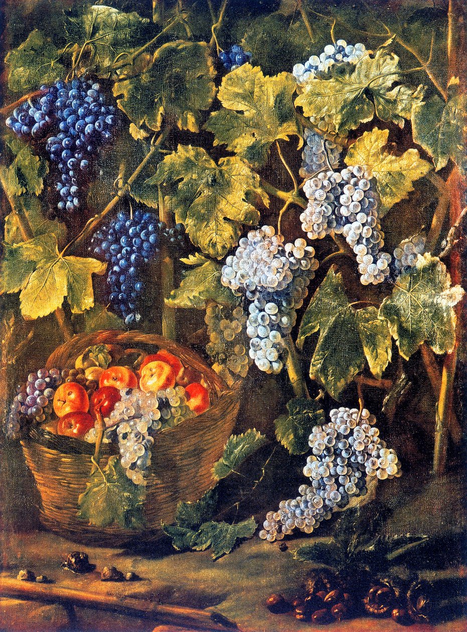 Natura morta con un cesto di frutta, castagne e uno sfondo di viti e grappoli d