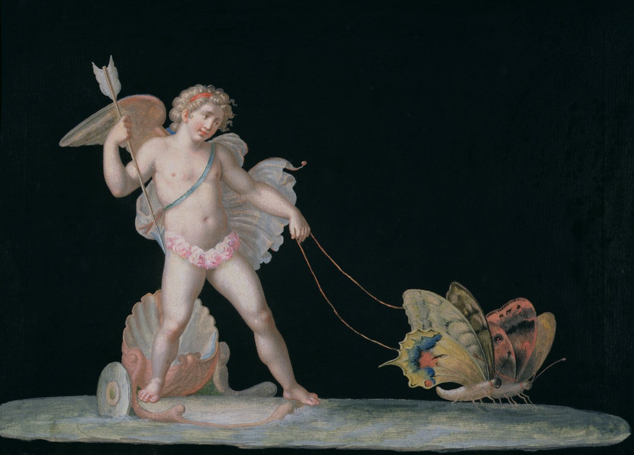 Cupido guidato da farfalle da Michelangelo Maestri