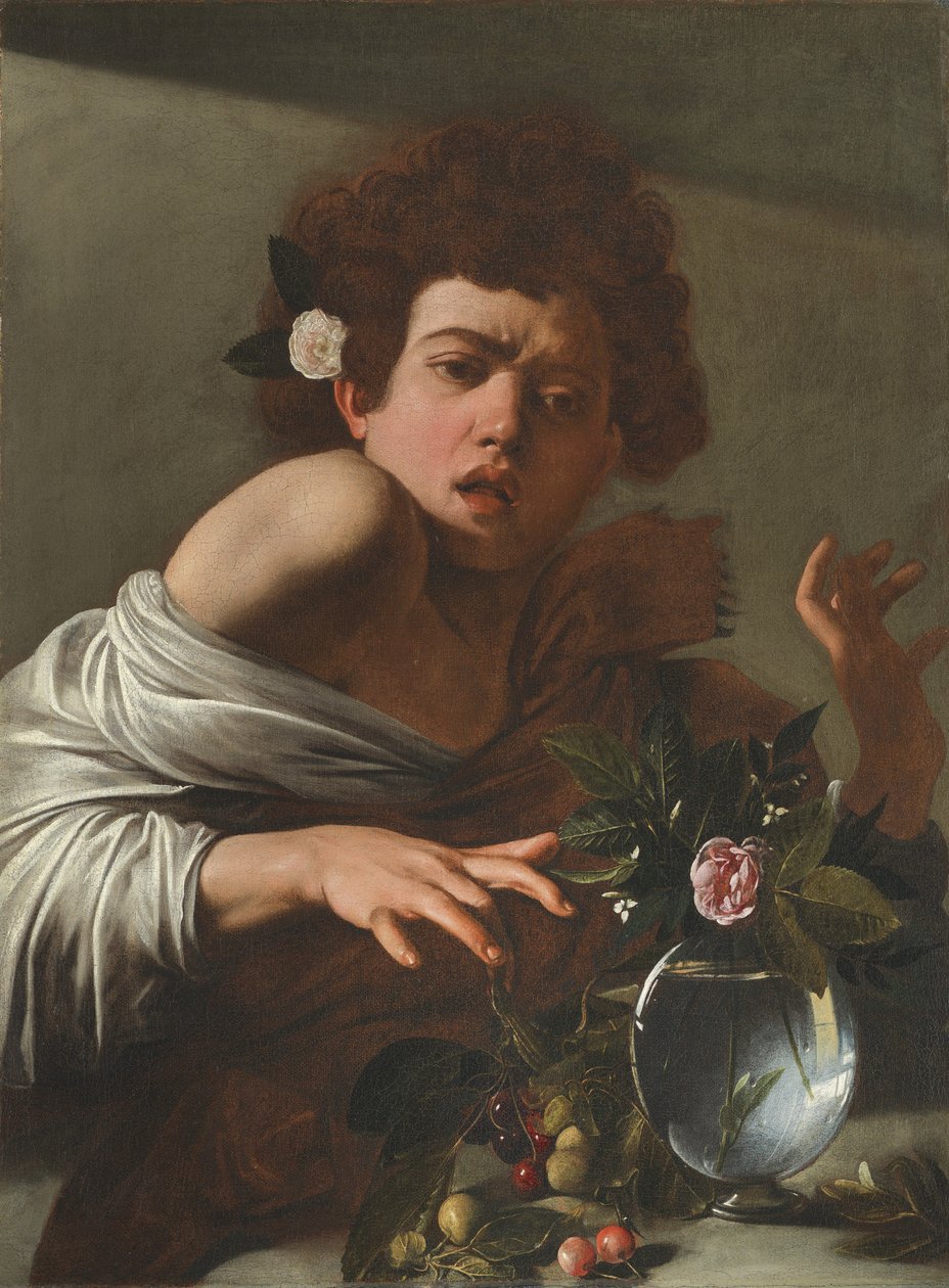 Ragazzo morso da una lucertola, c.1595-1600 da Michelangelo Merisi Caravaggio