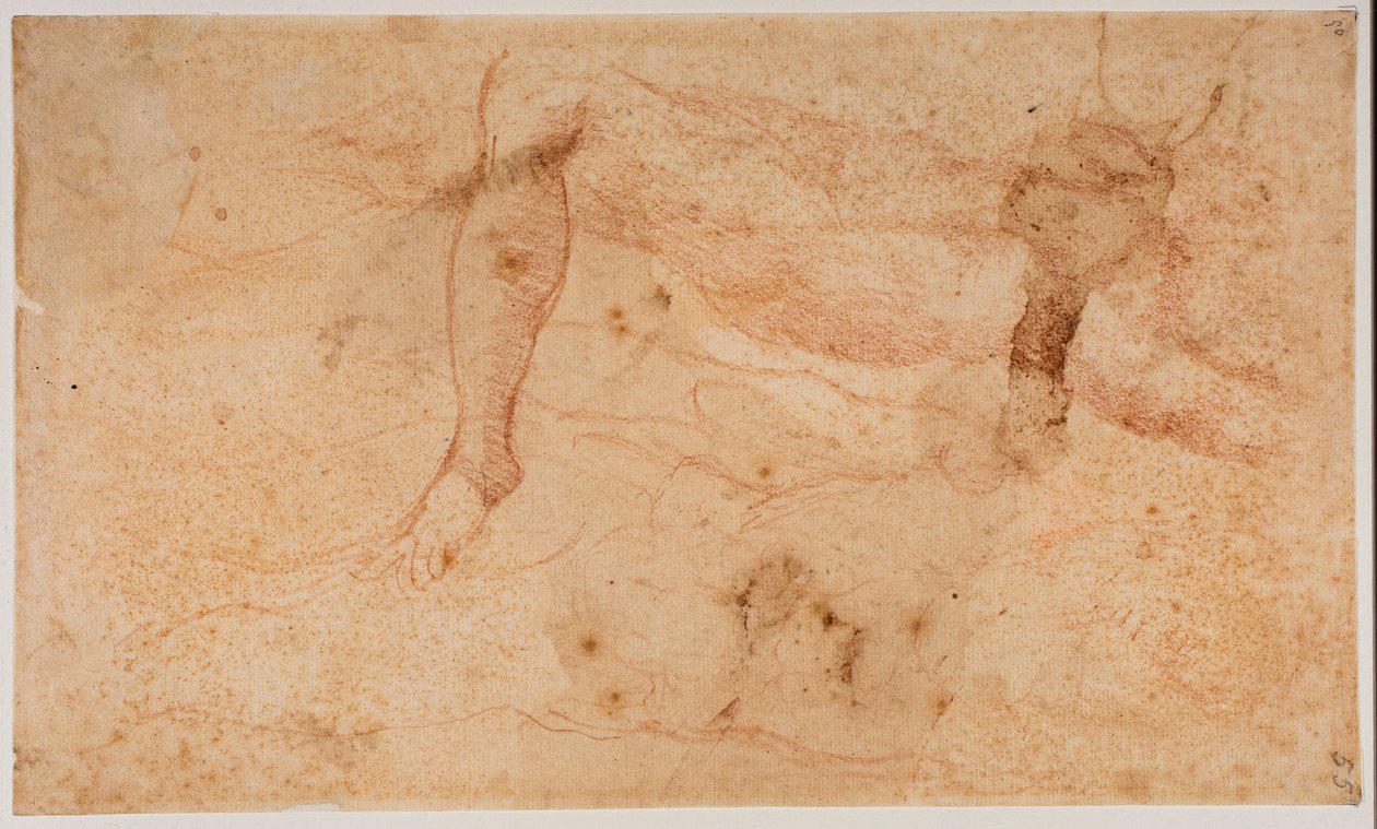 Studi di nudi da Michelangelo (after) Buonarroti