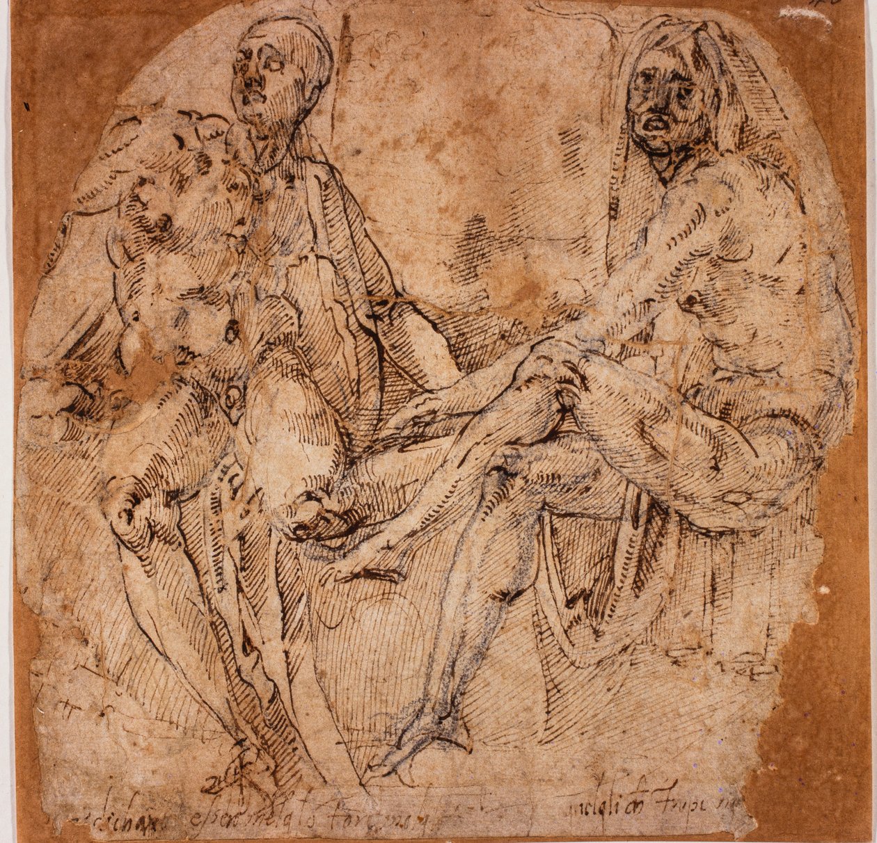 Studi di nudi da Michelangelo (after) Buonarroti