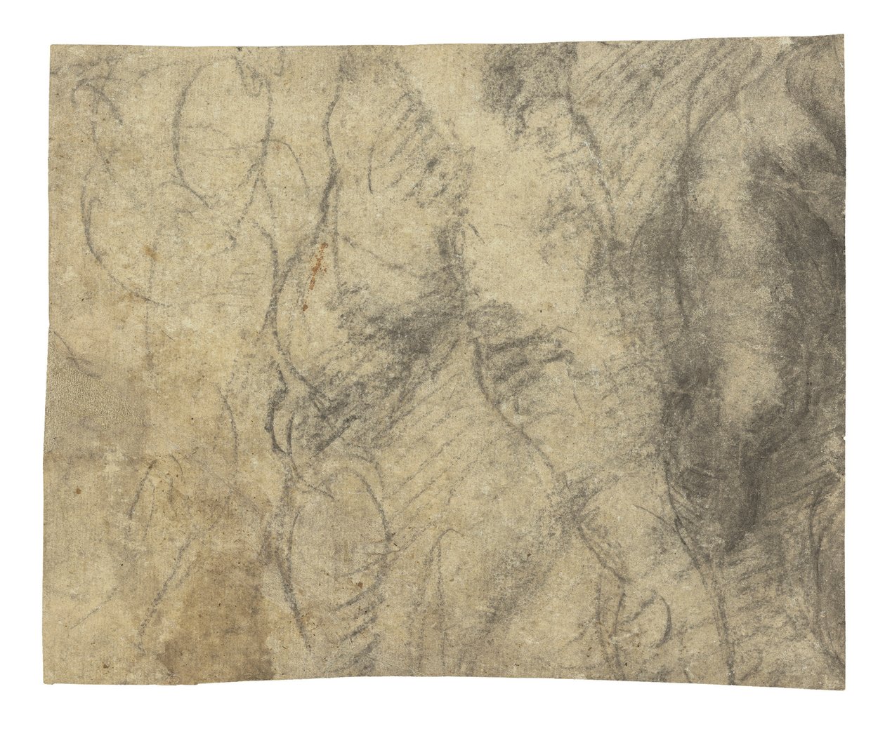 Nudo maschile visto da dietro da Michelangelo Buonarroti