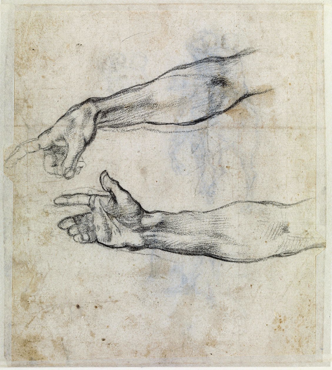  da Michelangelo Buonarroti