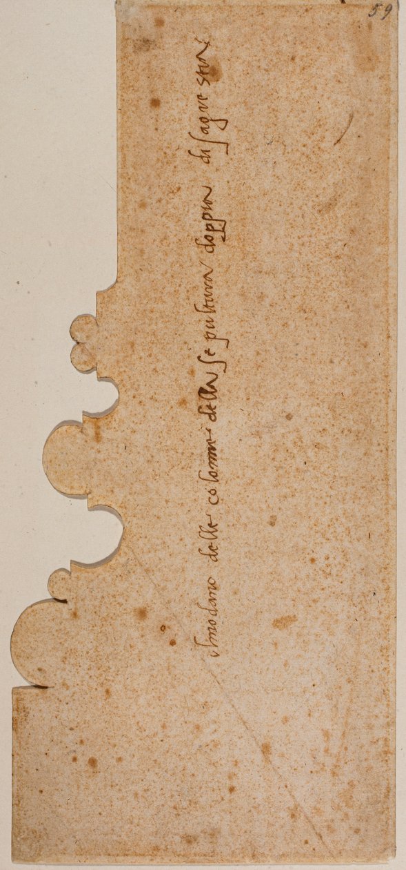 Profilo della base della colonna per la Sagrestia Nuova da Michelangelo Buonarroti