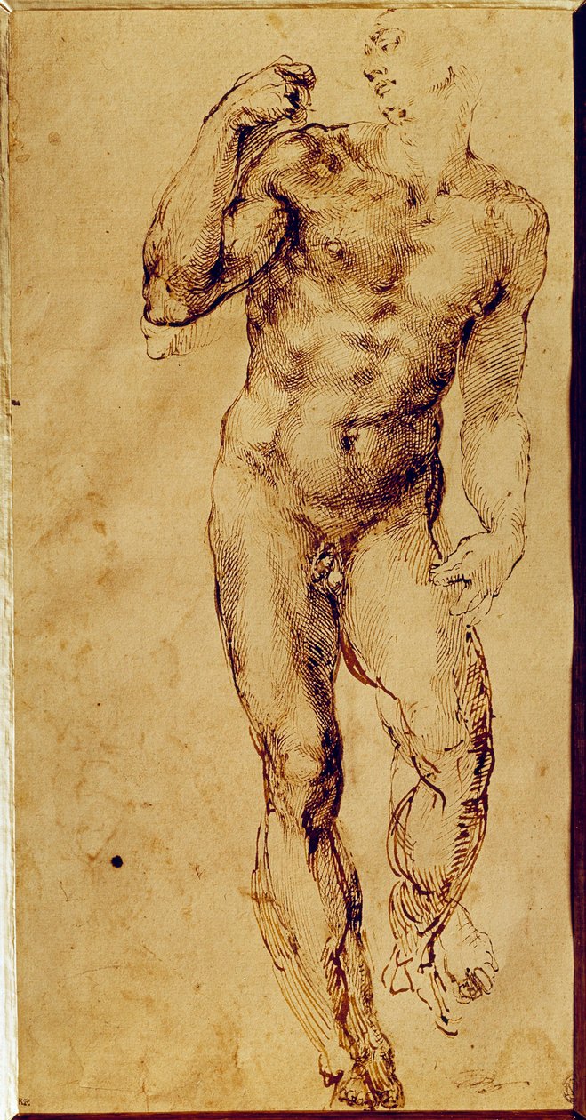 Studio di uomo nudo in piedi da Michelangelo Buonarroti