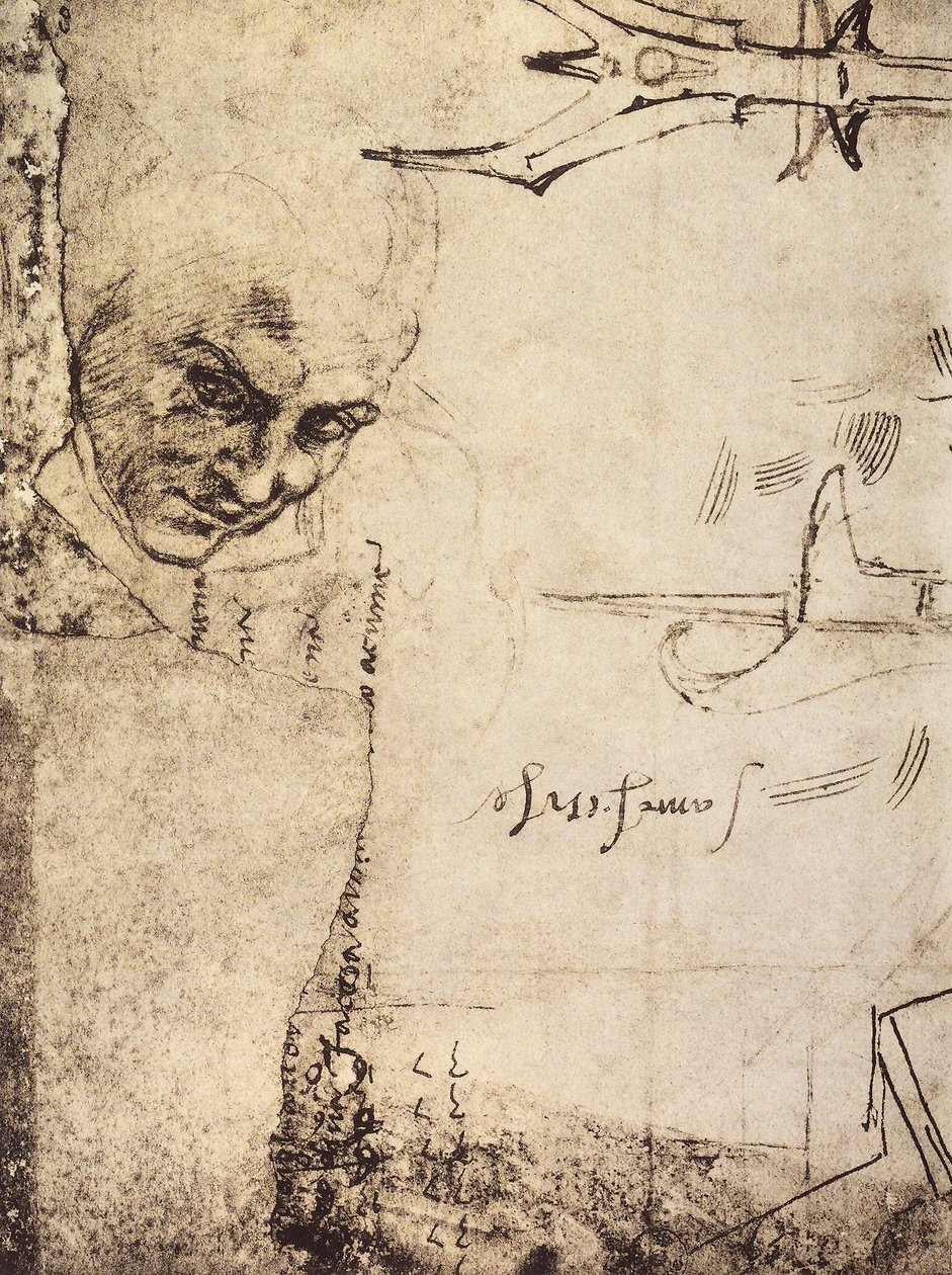 Volto da Michelangelo Buonarroti