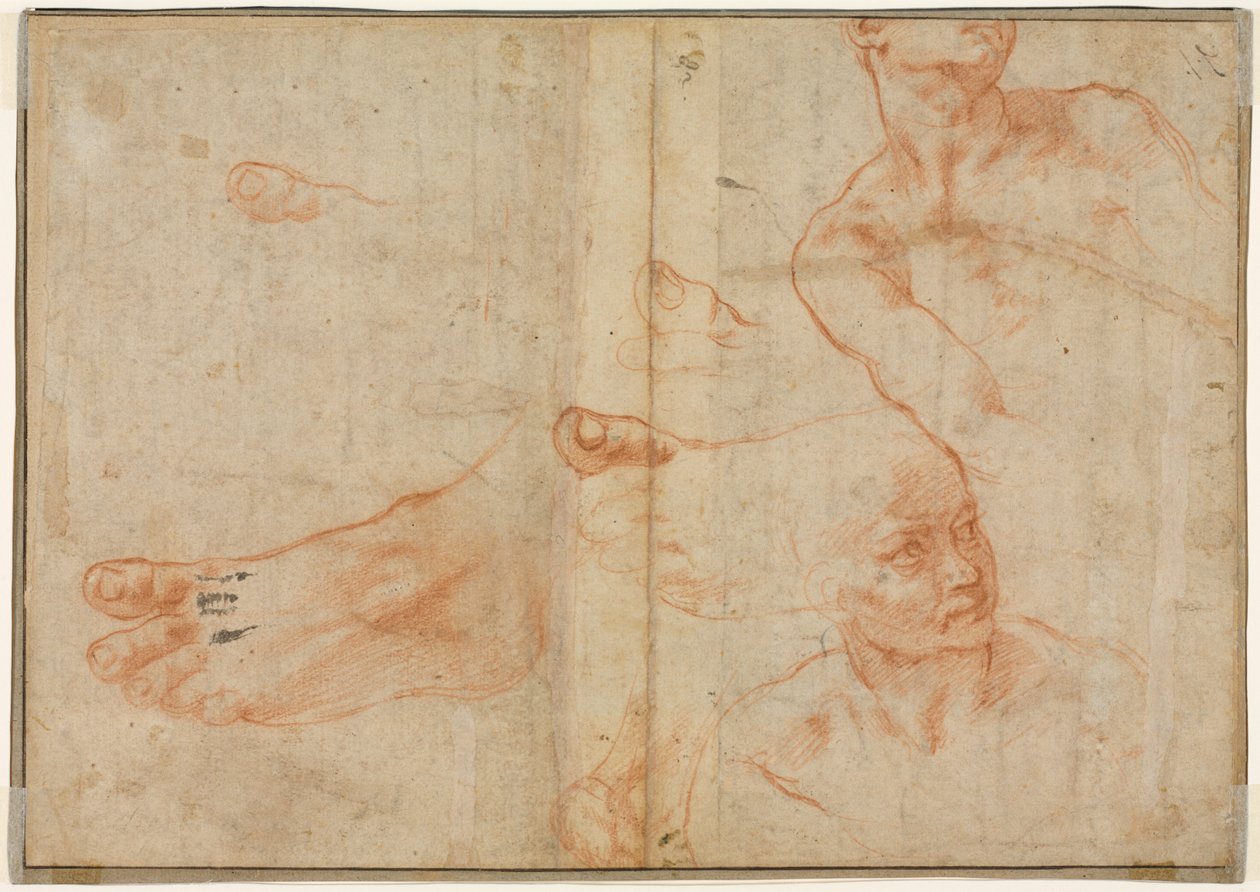 Studi di Figure per il Soffitto della Cappella Sistina (verso) da Michelangelo Buonarroti