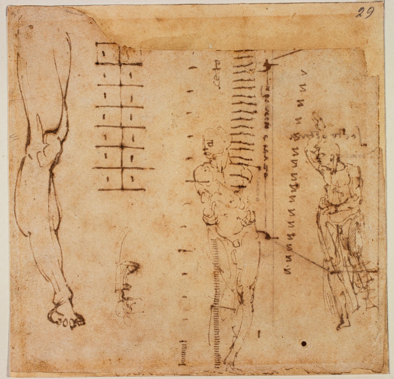 Studi di figure da Michelangelo Buonarroti