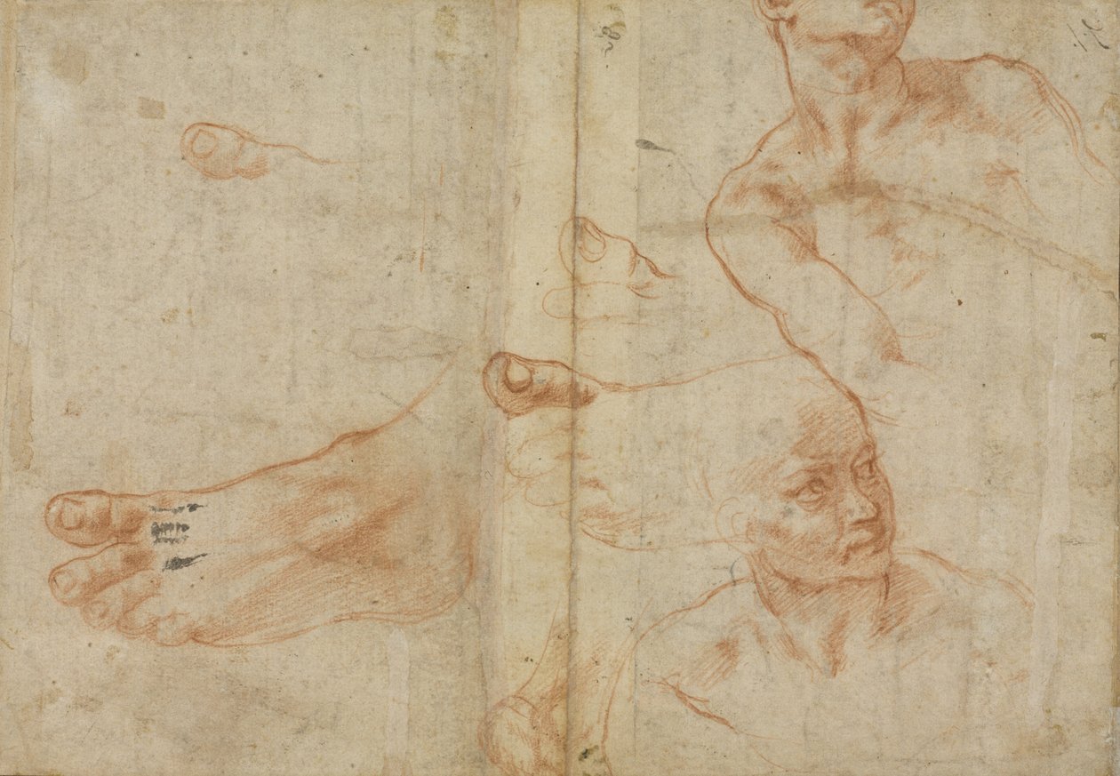 Studi di figure per il soffitto della Sistina da Michelangelo Buonarroti