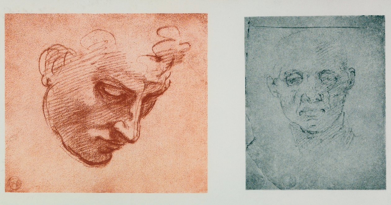 Vista frontale di un volto e uno di profilo da Michelangelo Buonarroti