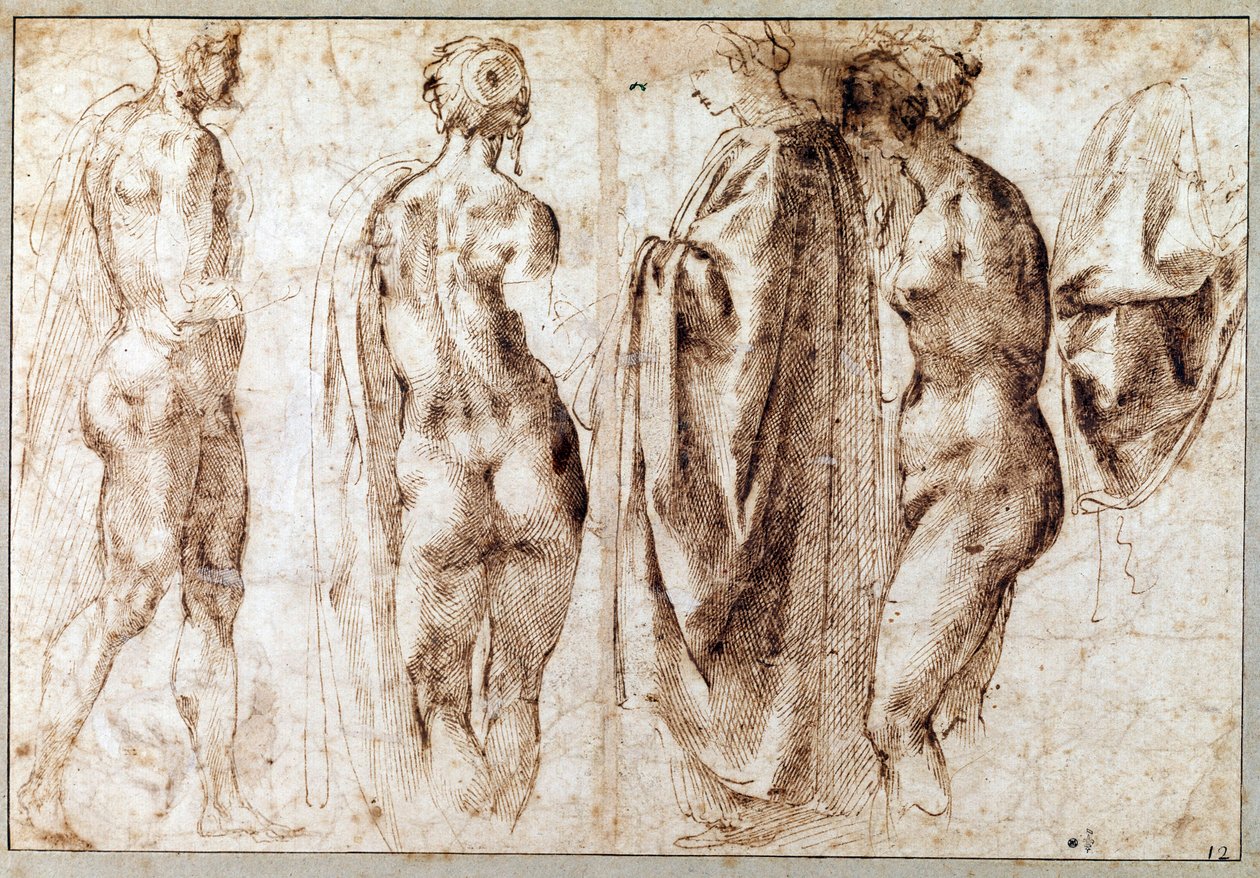 Gruppo di quattro figure in piedi e un drappo Disegno a penna di Michelangelo Buonarroti detto Michelangelo da Michelangelo Buonarroti