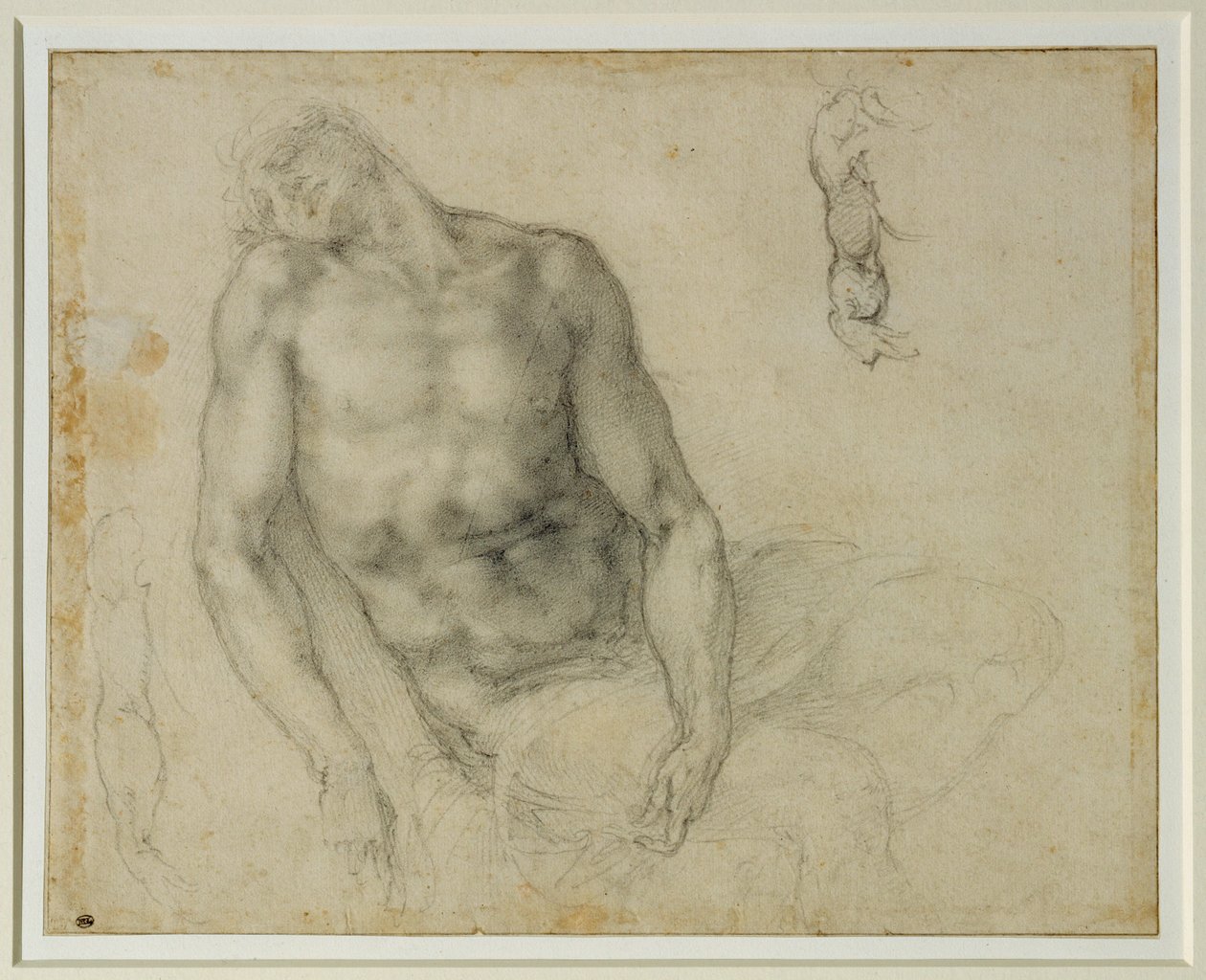 Il Cristo morto e due ripetizioni del braccio destro ... da Michelangelo Buonarroti