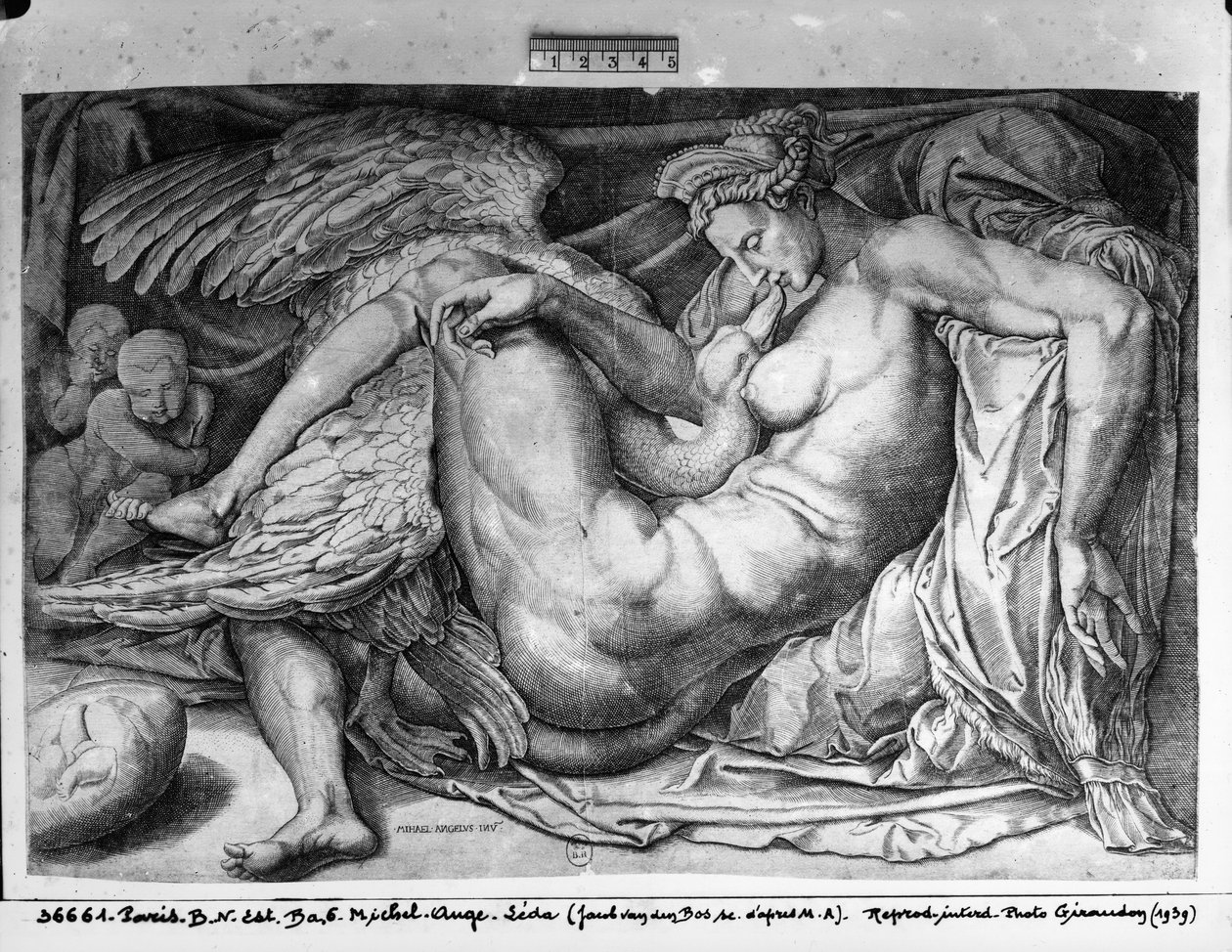 Leda, inciso da Jacobus Bos, Boss o Bossius da Michelangelo Buonarroti
