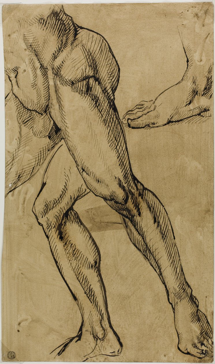 Gambe e Piedi di Nudo Maschile da Michelangelo Buonarroti