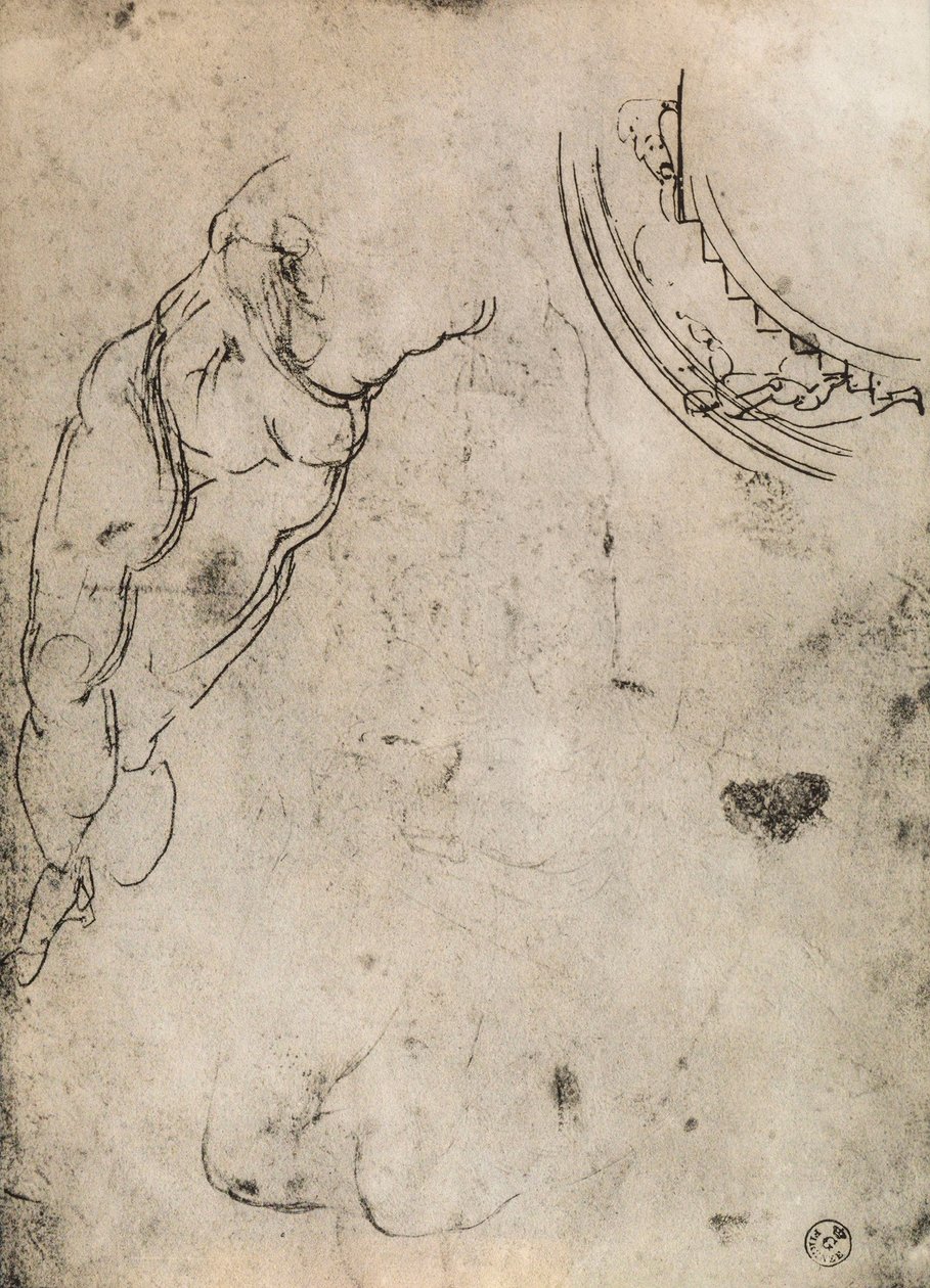 Gambe maschili da Michelangelo Buonarroti