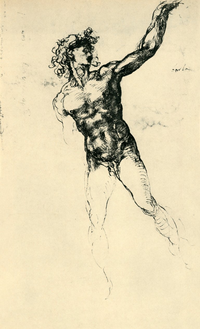 Nudo maschile, 1503-1504, 1943 da Michelangelo Buonarroti