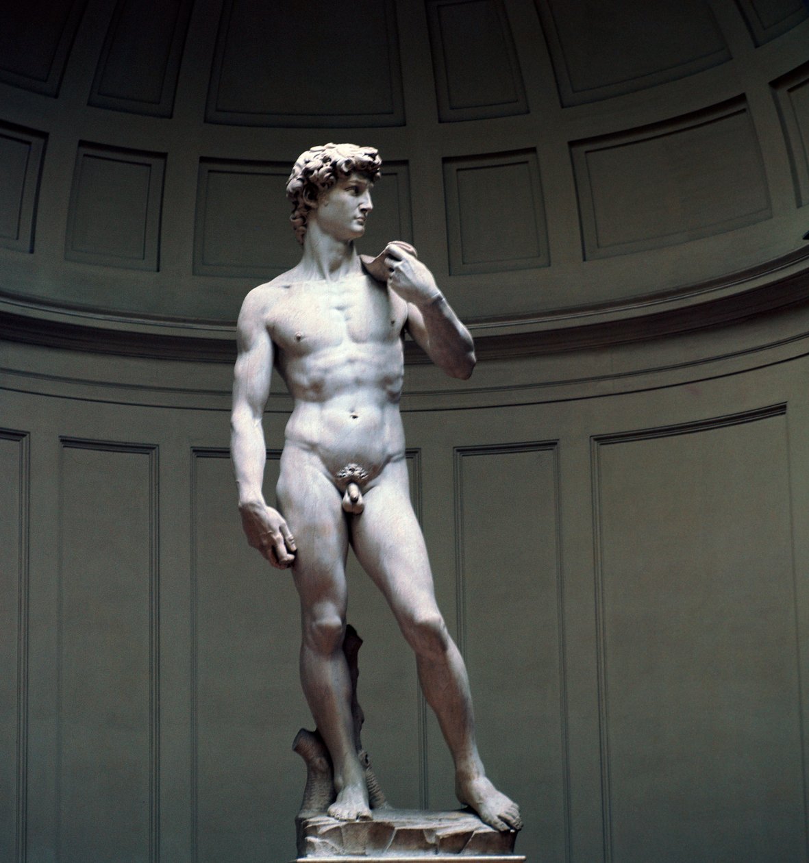David di Michelangelo da Michelangelo Buonarroti