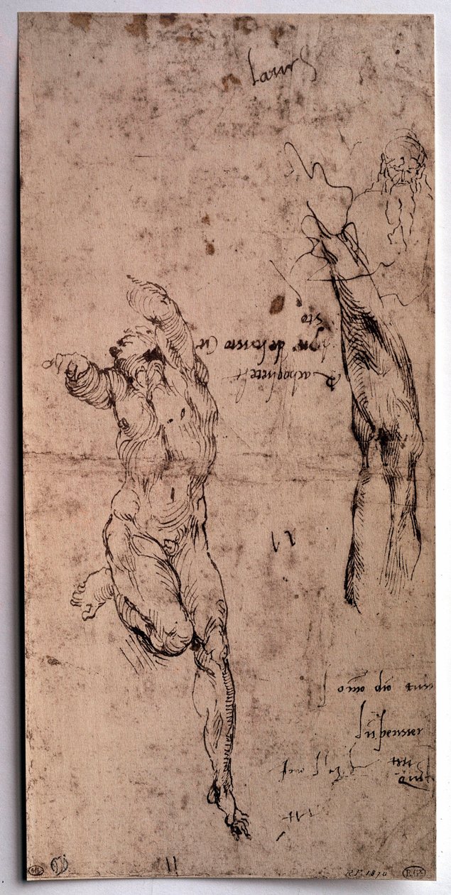 Uomo nudo, studio del braccio Disegno di Michelangelo Buonarroti da Michelangelo Buonarroti