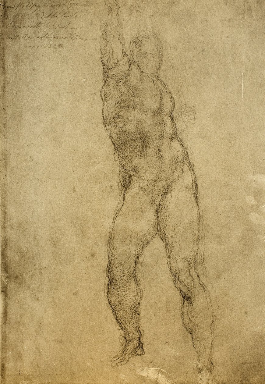 Studio di nudo, disegno di Michelangelo da Michelangelo Buonarroti