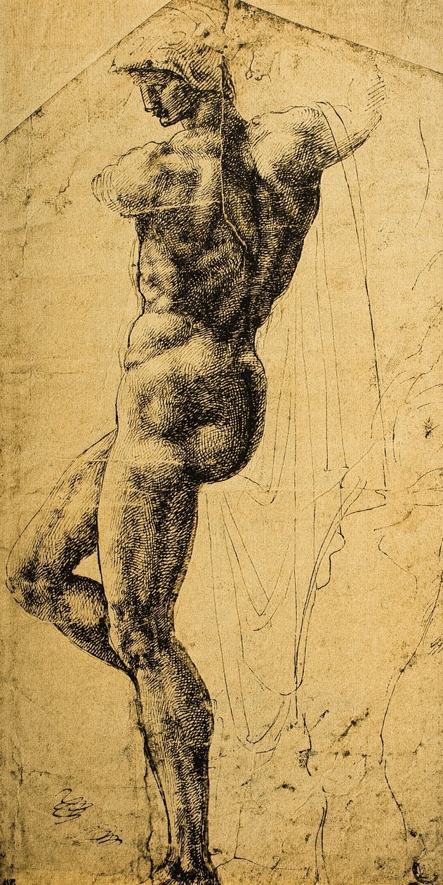 Studio di nudo; disegno di Michelangelo da Michelangelo Buonarroti