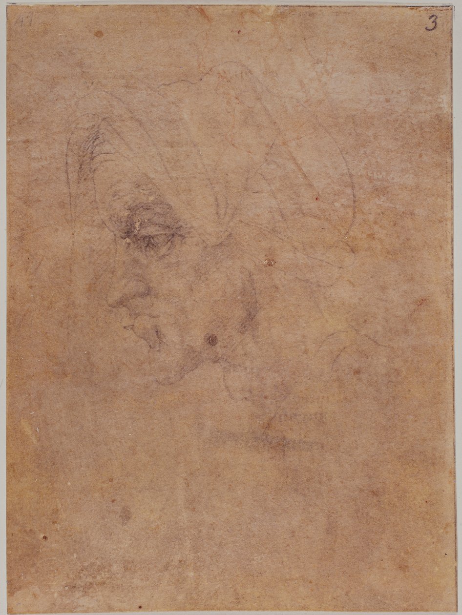 Profilo di una donna anziana da Michelangelo Buonarroti