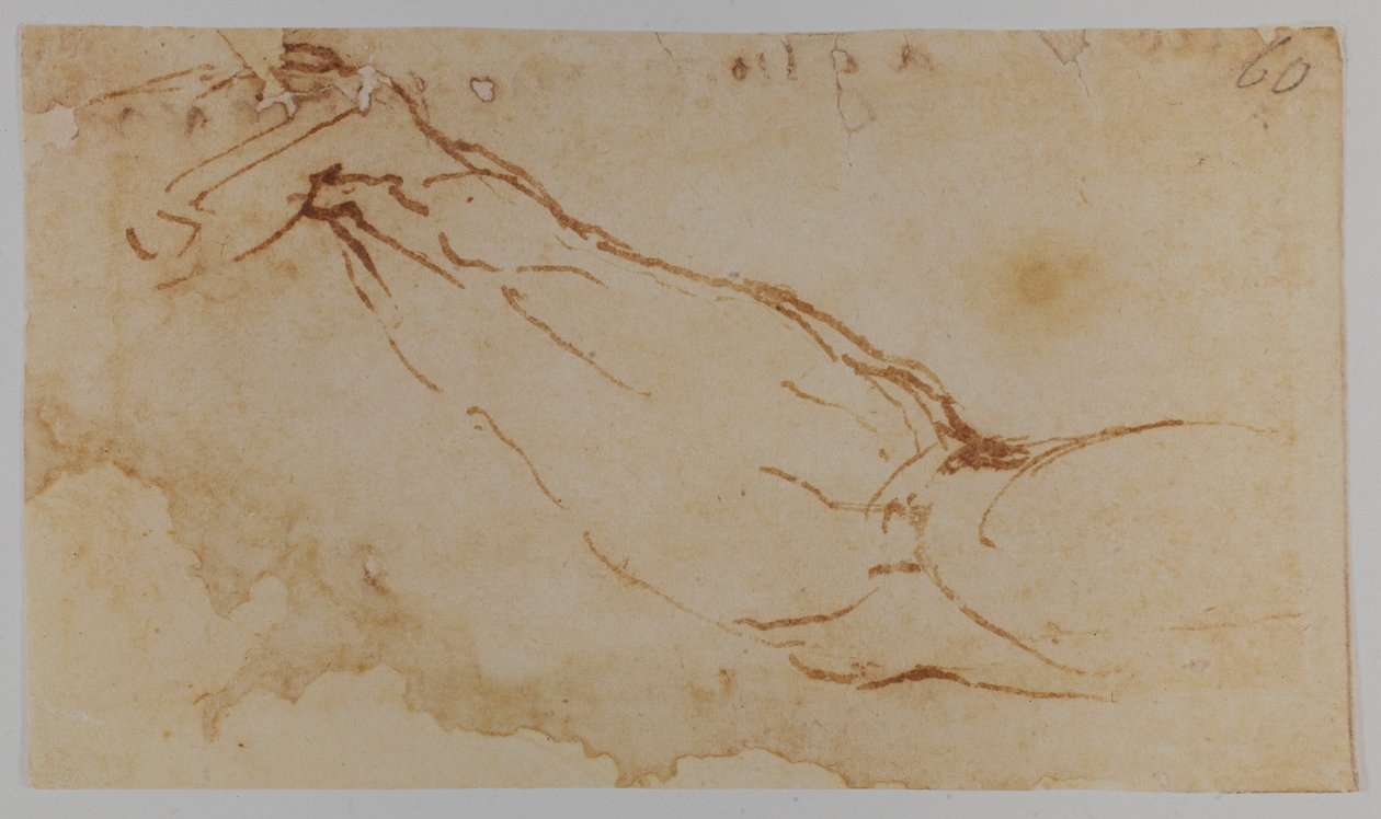Schizzo per il braccio destro di 