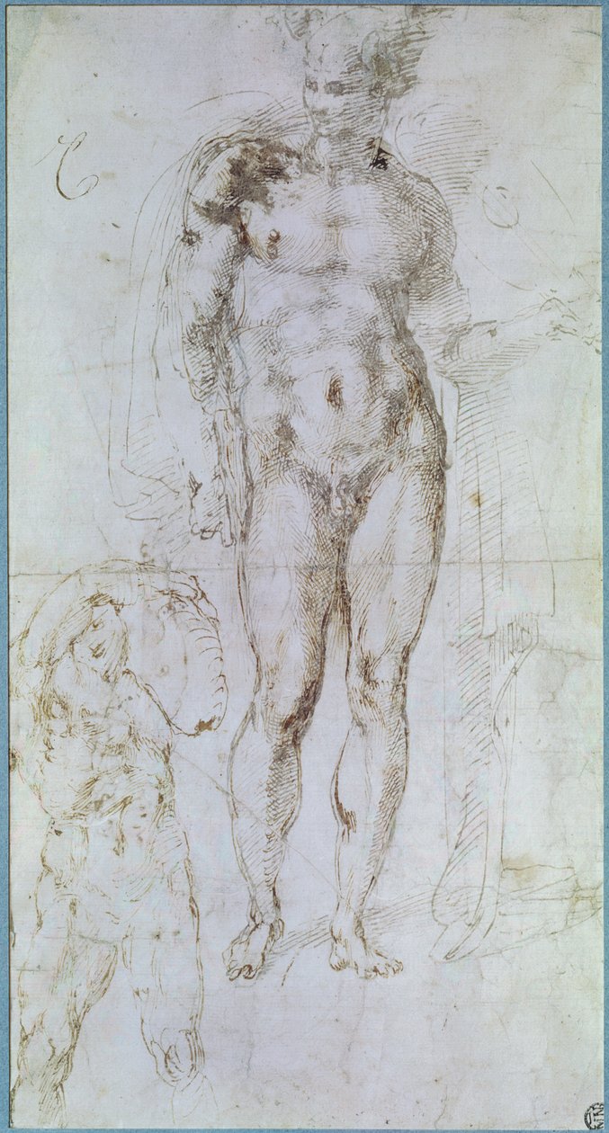 Studio per Apollo (ex Mercurio) nudo in piedi con un mantello drappeggiato sulle spalle e la figura di un uomo che porta un carico da Michelangelo Buonarroti
