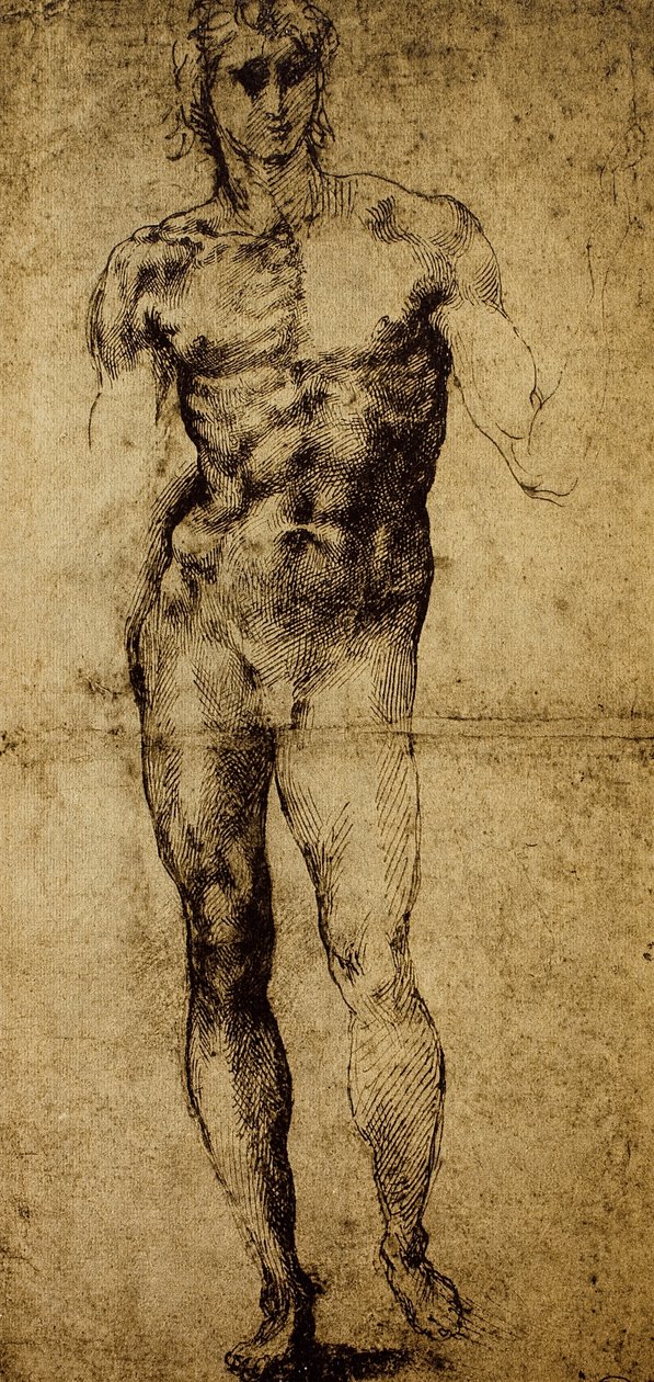 Studio per un nudo maschile da Michelangelo Buonarroti