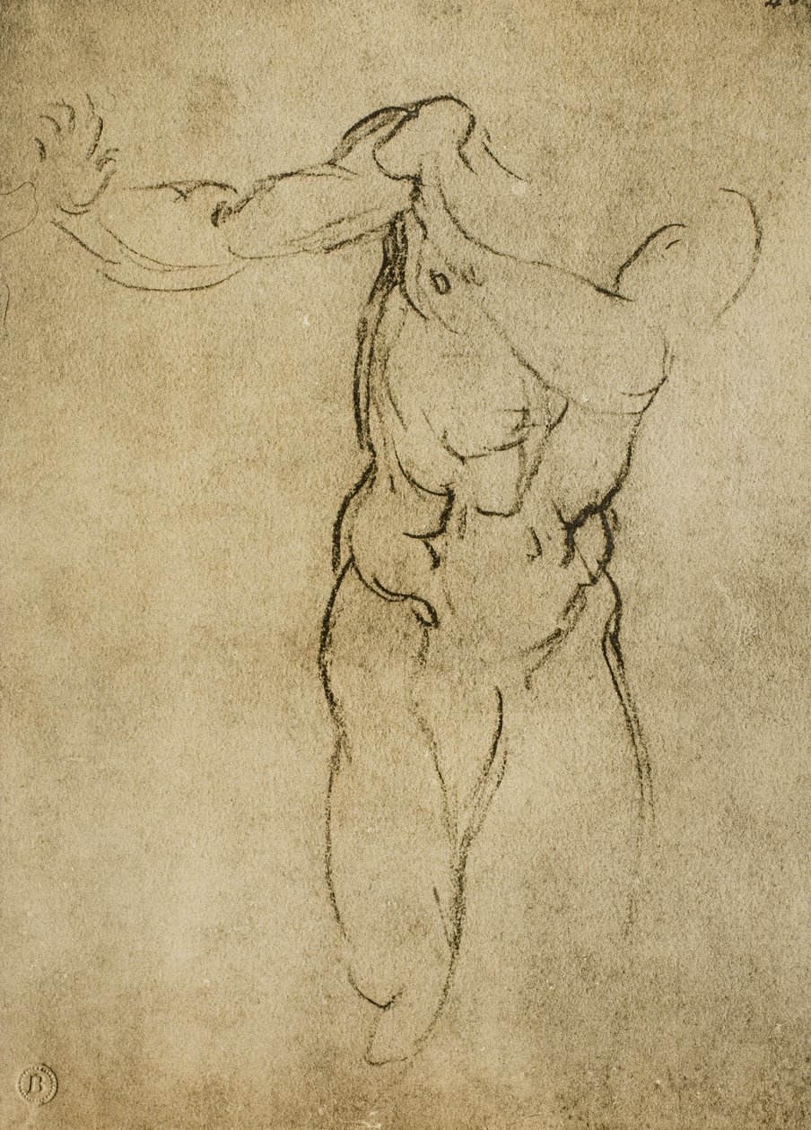 Studio per un busto maschile da Michelangelo Buonarroti