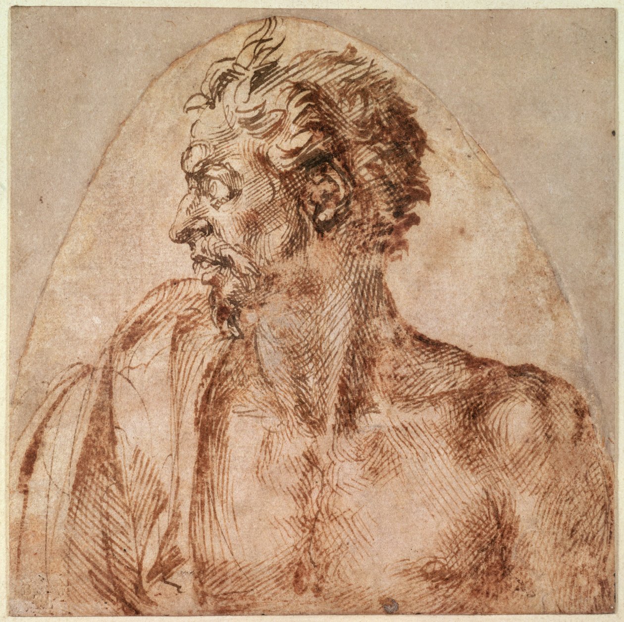 Studio di testa e spalle da Michelangelo Buonarroti