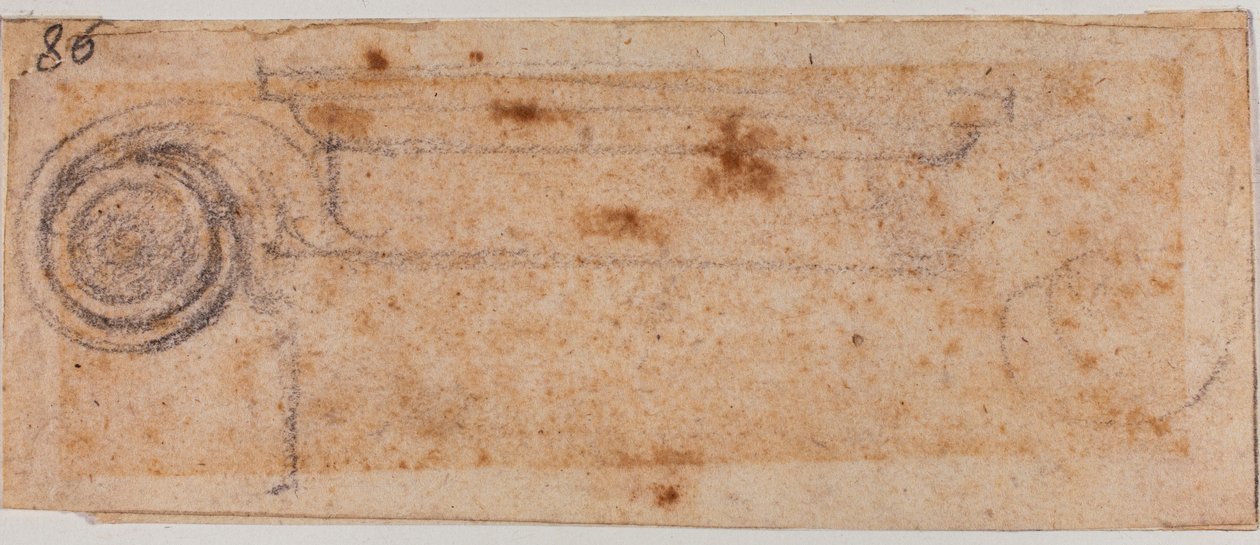 Studio di capitello ionico da Michelangelo Buonarroti