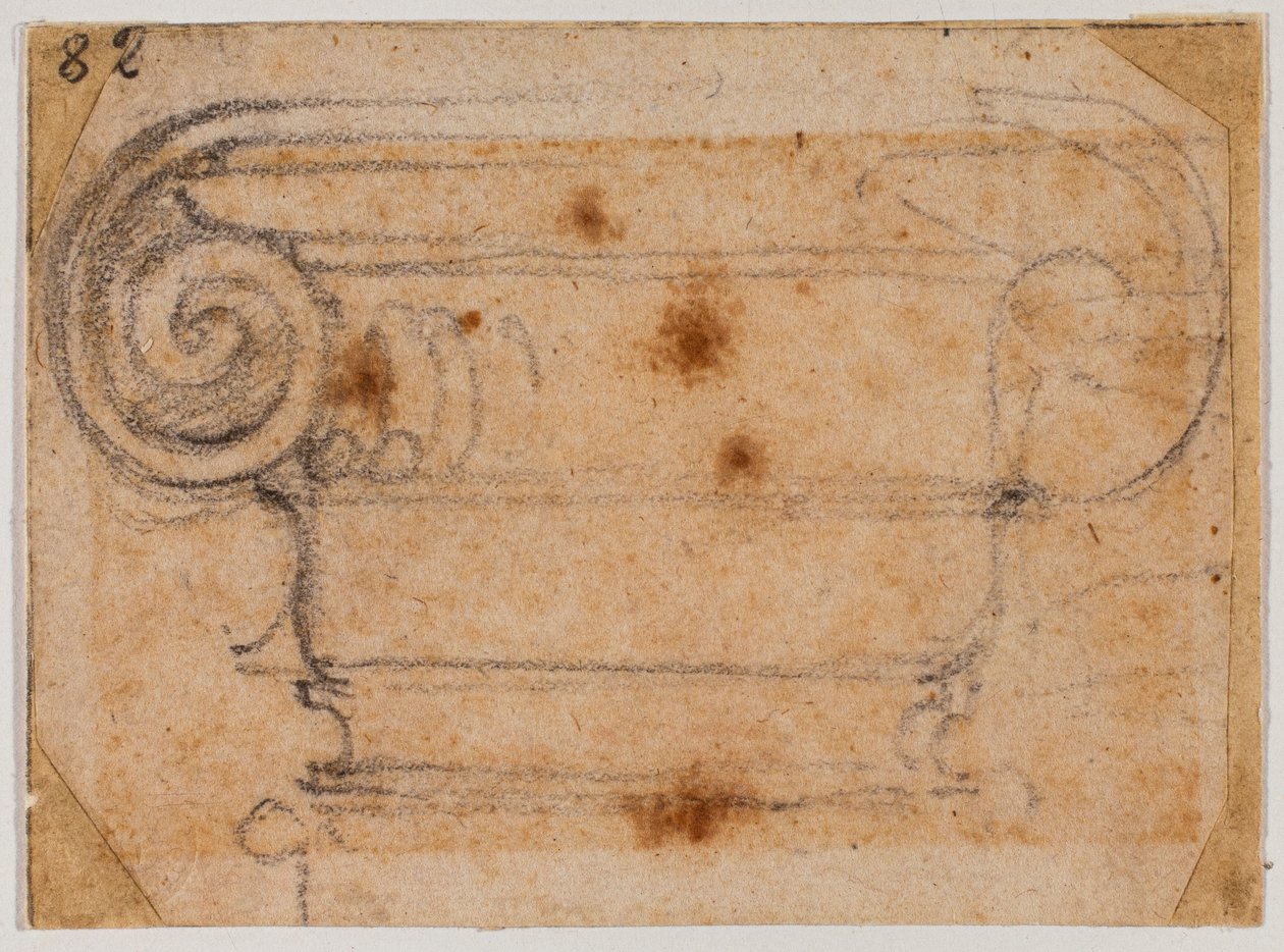 Studio di capitello ionico da Michelangelo Buonarroti