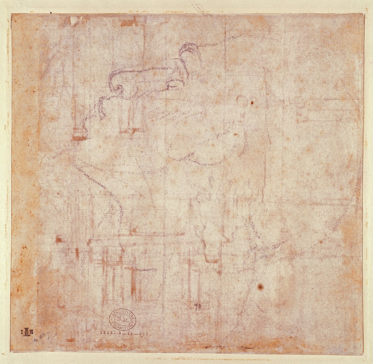 Studio di una testa, 1525-26 (verso) da Michelangelo Buonarroti