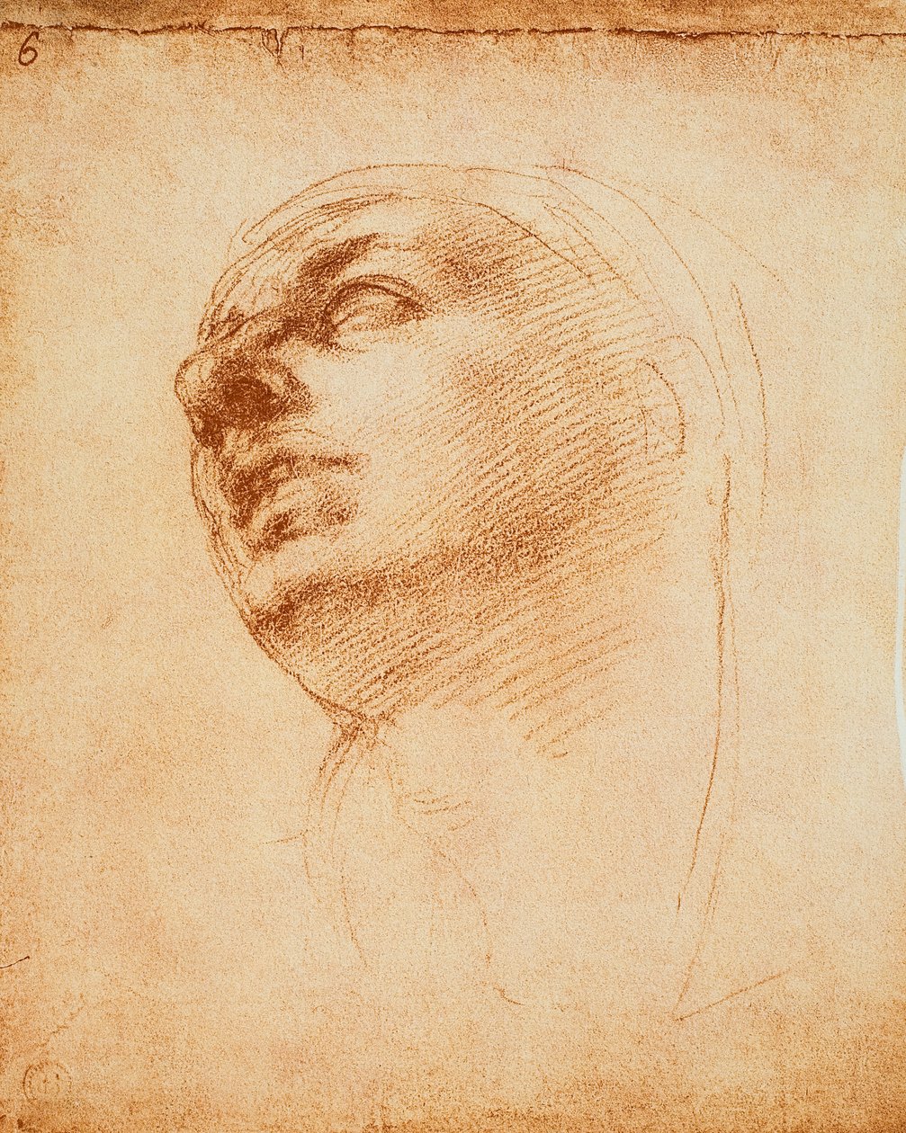 Studio di un volto da Michelangelo Buonarroti