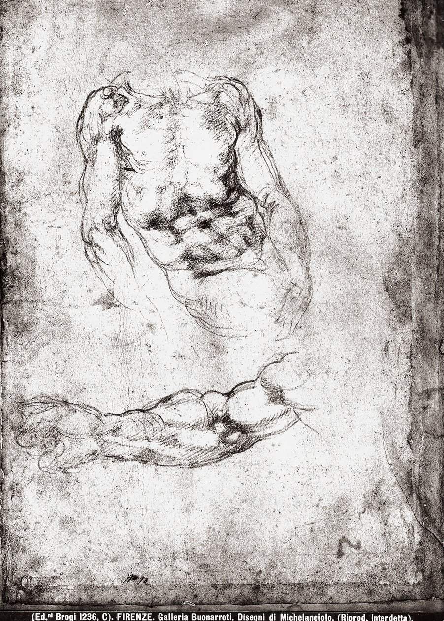 Studio di un torso e braccio maschile da Michelangelo Buonarroti