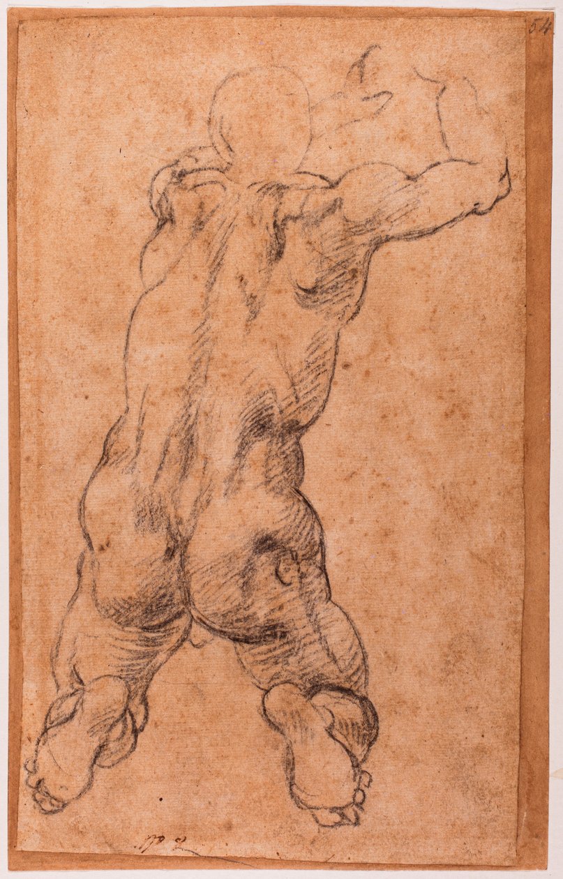 Studio di nudo maschile inginocchiato da Michelangelo Buonarroti
