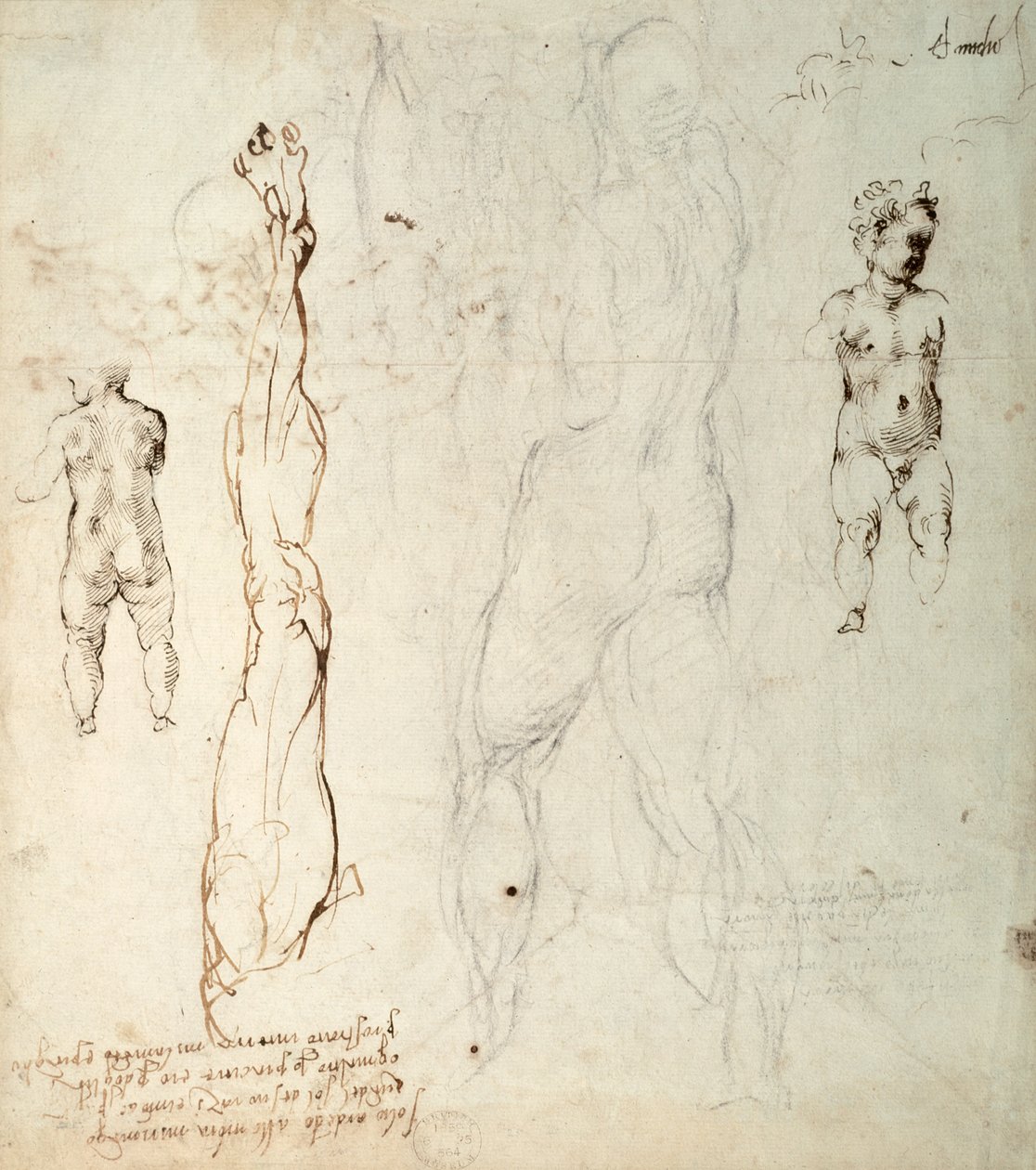 Studio del Bambino Gesù e un disegno anatomico con note (gesso nero e inchiostro marrone su carta) (verso) da Michelangelo Buonarroti