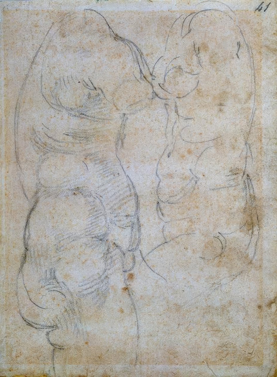 Due studi di un torso femminile antico da Michelangelo Buonarroti