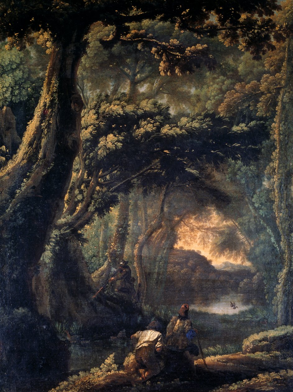 Caccia alla folaga, di Michelangelo Cerquozzi detto Michelangelo delle Battaglie, olio su tela, 67x51 cm da Michelangelo Cerquozzi