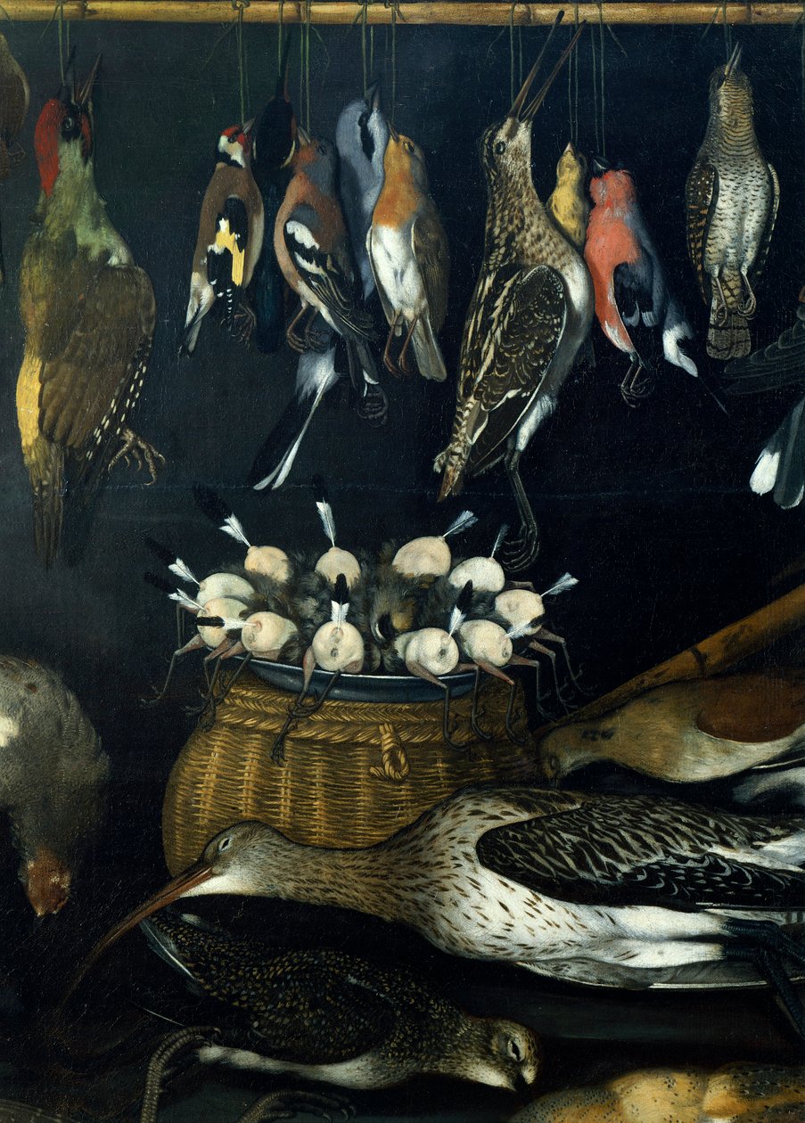 Natura morta con uccelli (dettaglio) da Michelangelo Merisi da Caravaggio