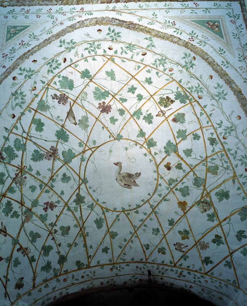 Vista della volta della cantina, Villa Medicea di Careggi da Michelozzo di Bartolommeo