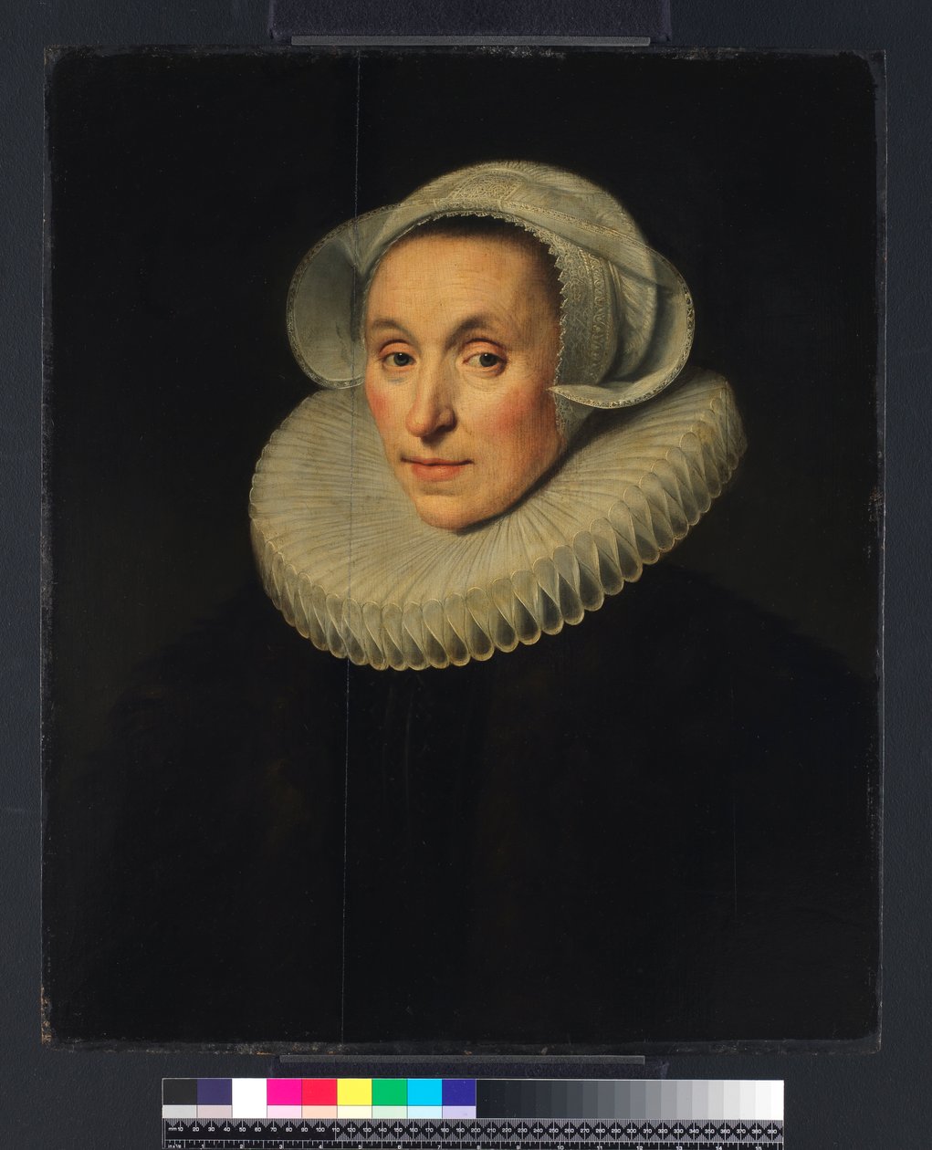 Ritratto di una signora, 1615 da Michiel Jansz. van Miereveld