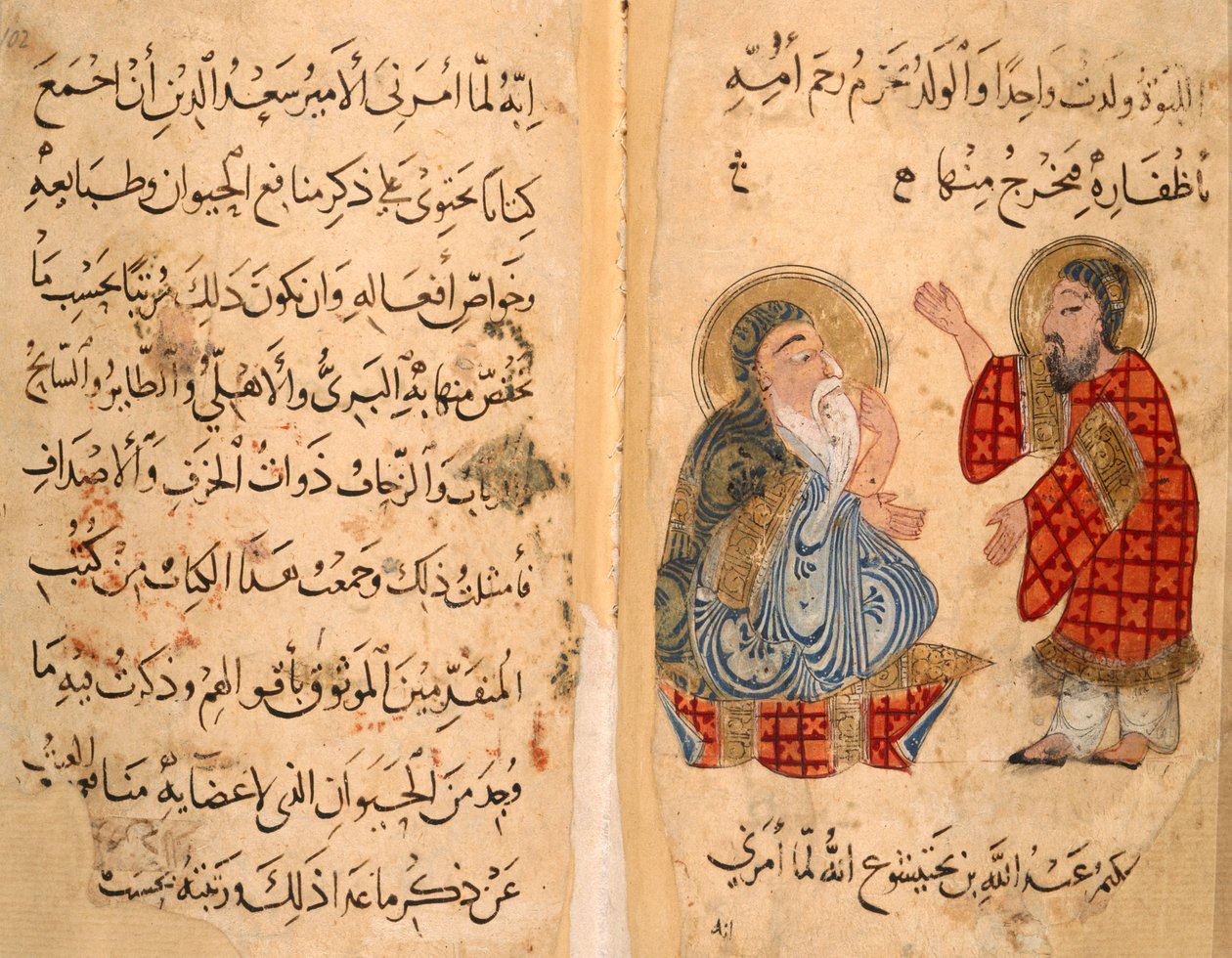Pagina di testo e illustrazione di Ibn Bakhtishu e allievo, dal 