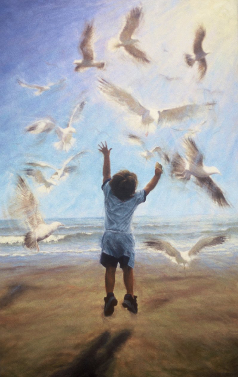 Volo da Mike Briscoe