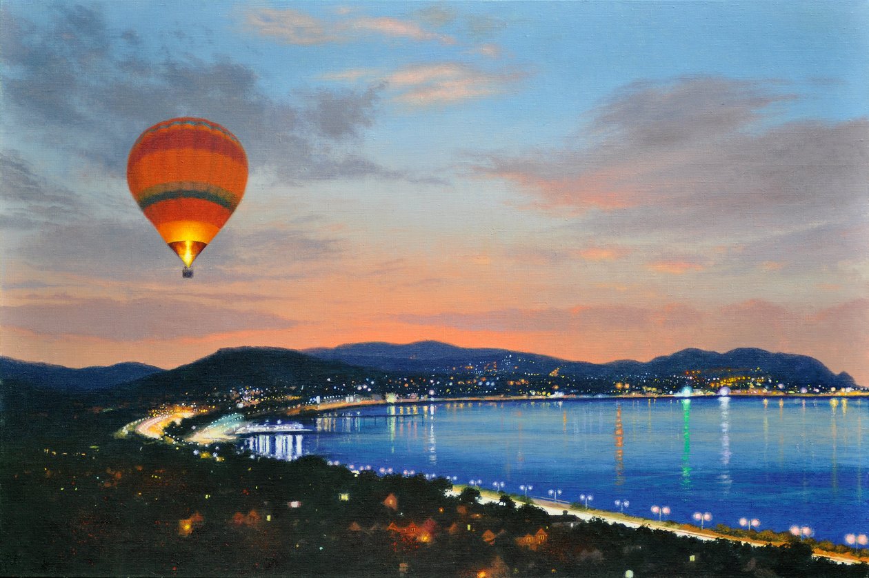 Volo notturno, 2016 (olio su lino) da Mike Briscoe