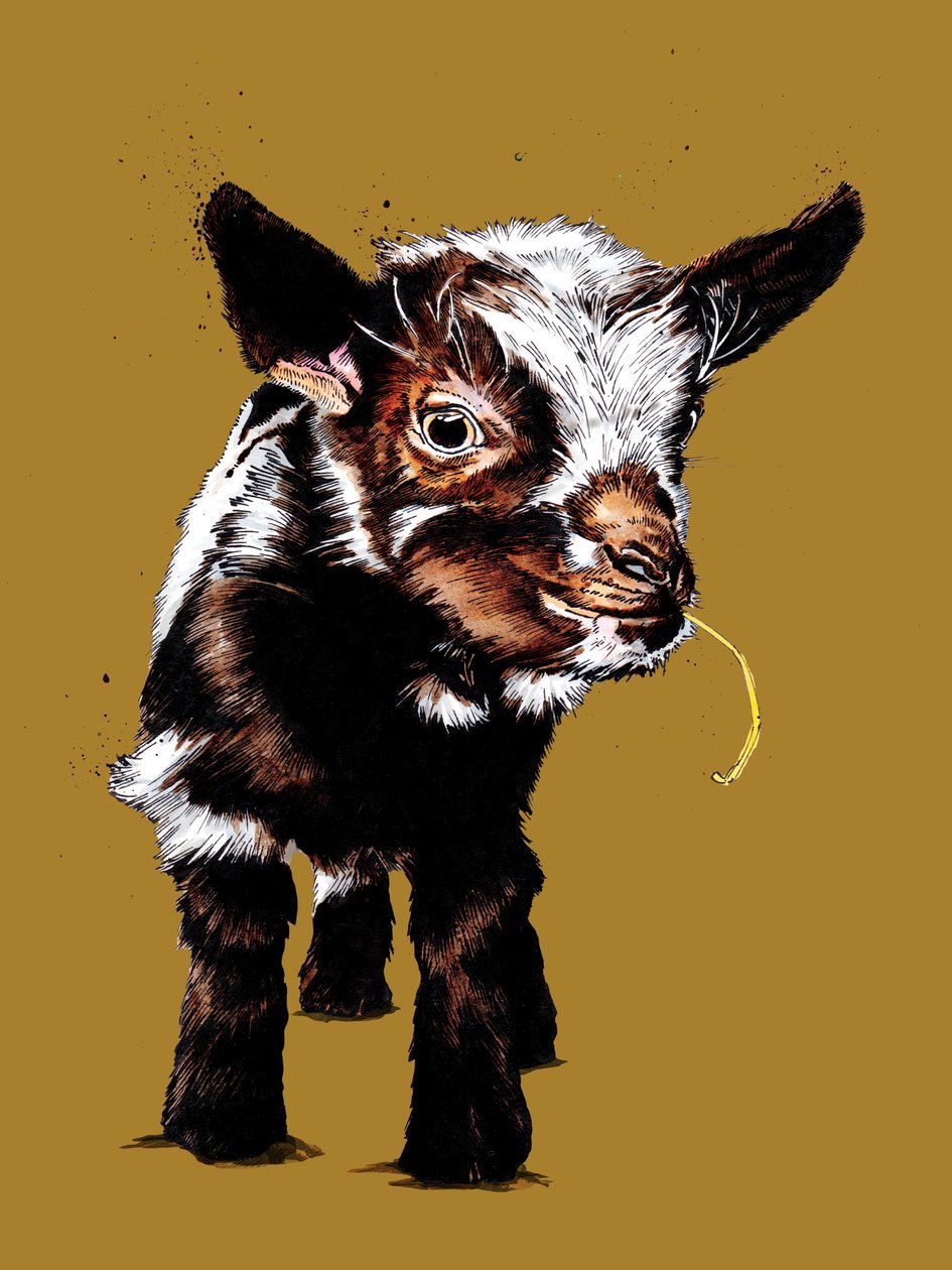 Capretto su Giallo Dorato, 2020 da Mike Davis