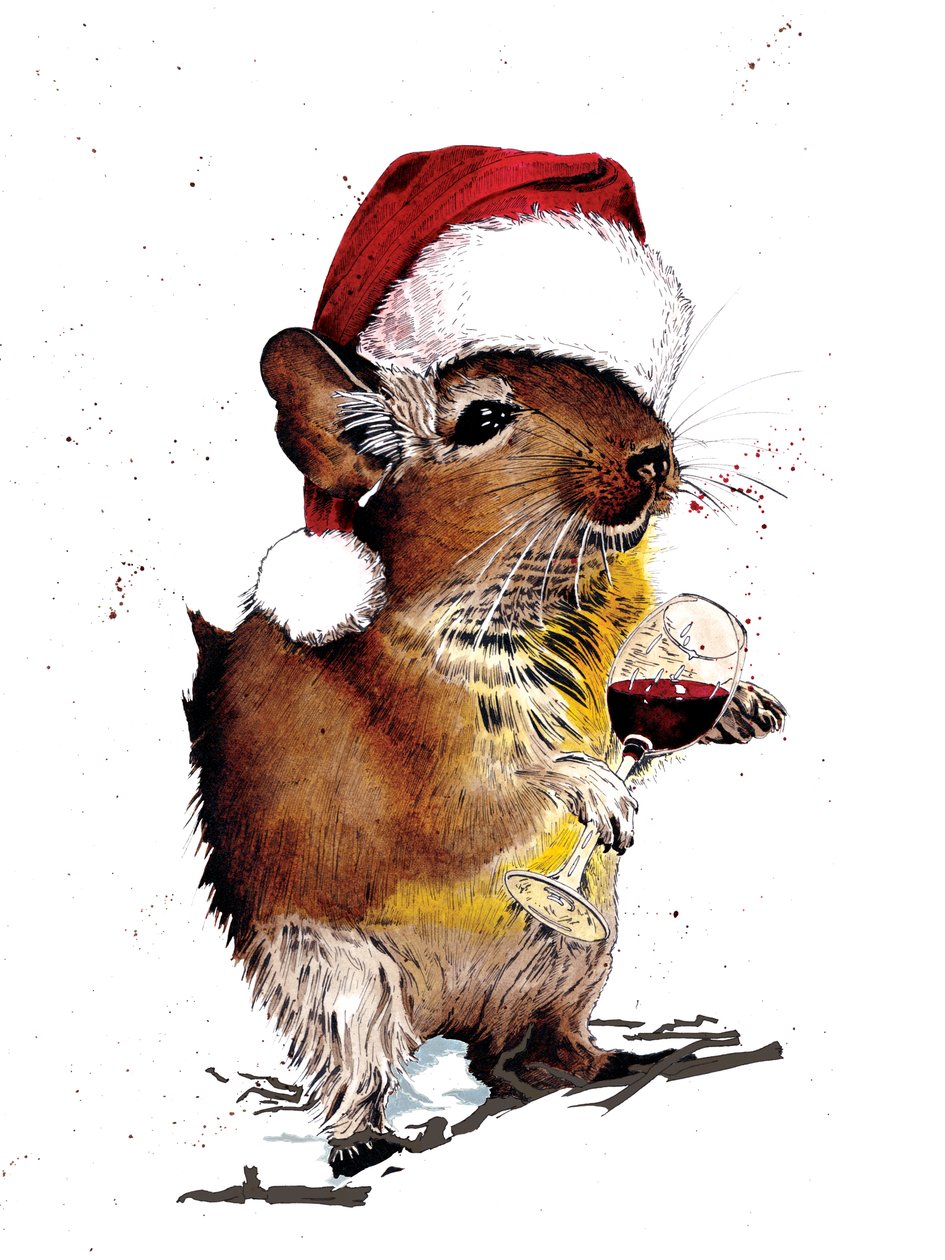 Degu di Natale su bianco, 2020 da Mike Davis